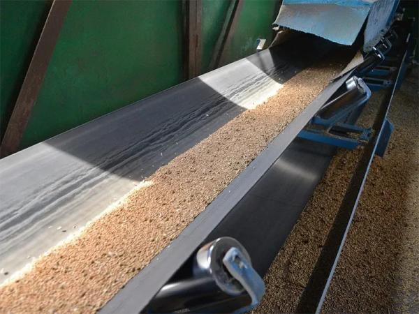 Ленточный конвейер для зерна
